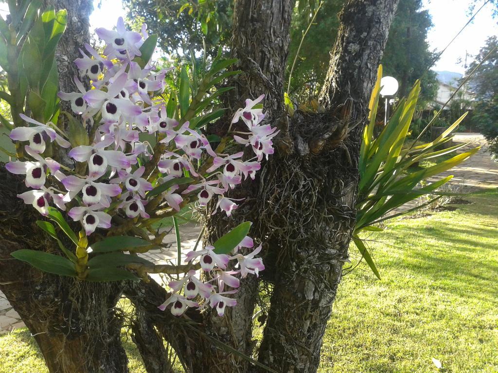Pousada Villa Real Tiradentes Eksteriør bilde