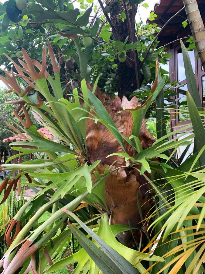 Pousada Villa Real Tiradentes Eksteriør bilde